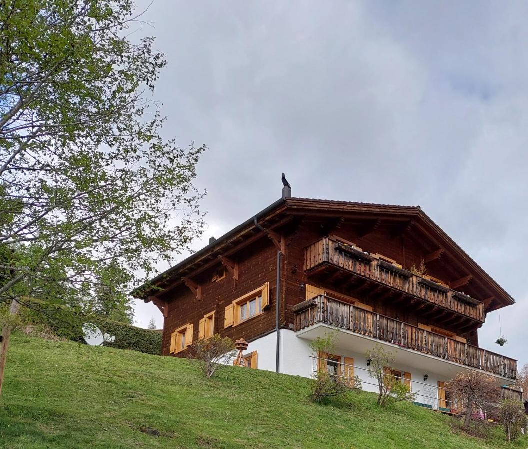 لي ديابليريتس Chambre D'Hotes L'Ours Bleu المظهر الخارجي الصورة